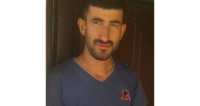 Mardin’de yılanın soktuğu vatandaş hayatını kaybetti