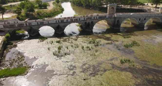 Tunca Nehri adeta bataklığa döndü