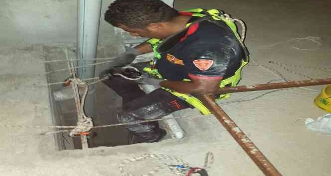 Havalandırma boşluğunu düşen yavru kediler kurtarıldı