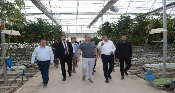 Tatvan heyetinden Van ve Ağrı’daki seralara inceleme ziyareti