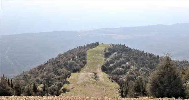 Manisa’da ormanlık alanlara girişler yasaklandı
