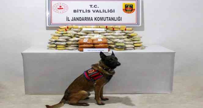 Bitlis’te 89 kilo uyuşturucu geçirildi