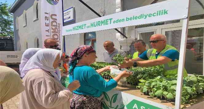 Ordu’da 200 bin fide toprakla buluşturuldu