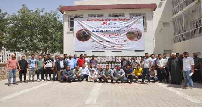 Mardin’de besicilere sırt pompası ve ilaç desteği