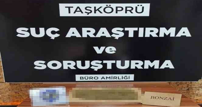 Taşköprü’de polisten silah ve uyuşturucu operasyonu