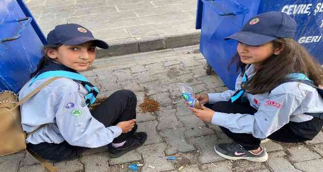 İzci öğrenciler sokak hayvanlarını besledi