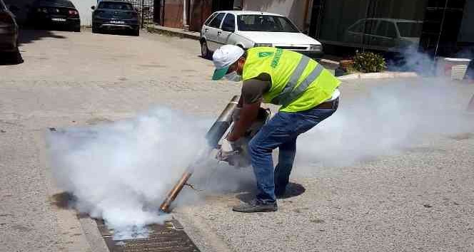 Osmaniye’de sinekle mücadele