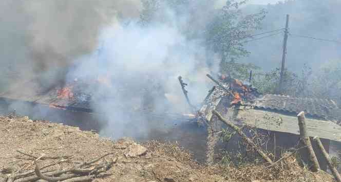 Metruk binada çıkan yangın ormana sıçramadan söndürüldü