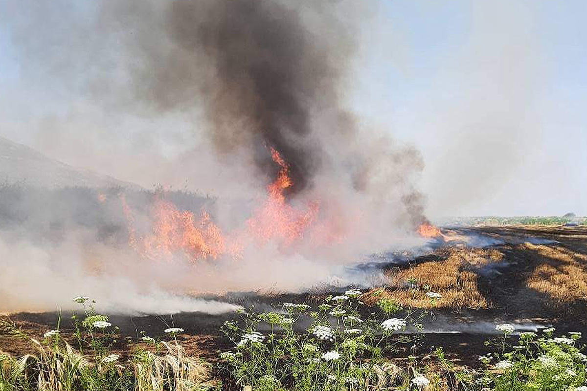 Söke'de buğday tarlasında yangın