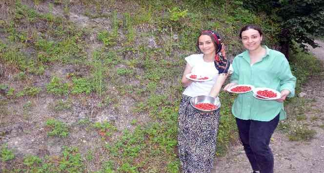 Bu çileğin kilosu 200 TL
