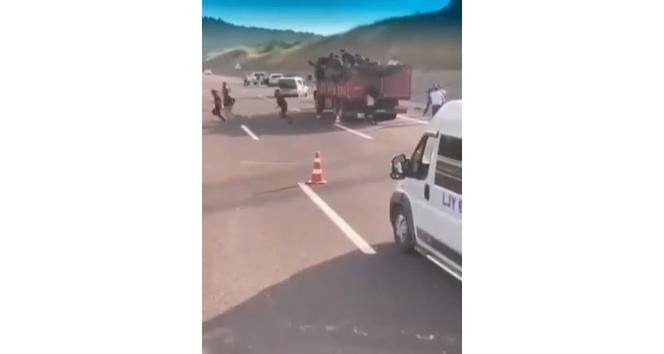 Yalova’da kaçak göçmenler yakalandı