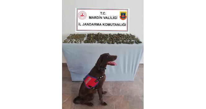 Mardin’de uyuşturucu satıcıları suçüstü yakalandı