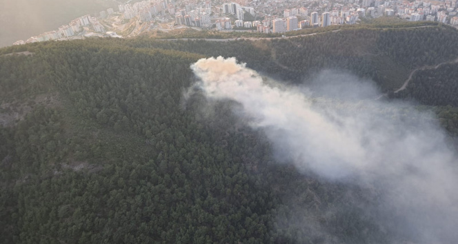 İzmirde ormanlık alanda çıkan yangın söndürüldü
