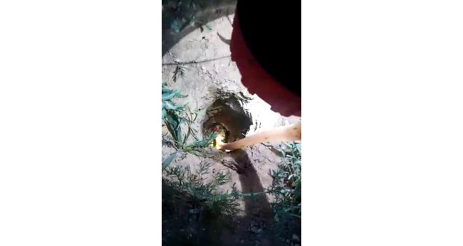 Kuyuya düşen civciv için seferber oldular