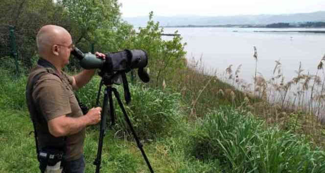 Hersek Lagünü’nde kuş tür sayısı 246’ya çıktı