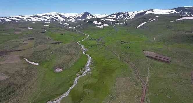 Kar sularının oluşturduğu akarsu havadan görüntülendi