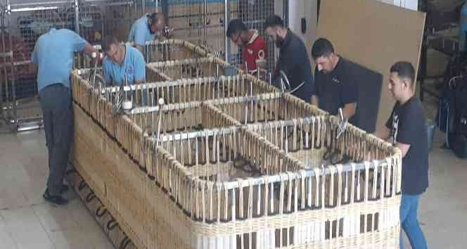 Kapadokya’da üretilen ellinci balonda, Kapadokya semalarında uçacak