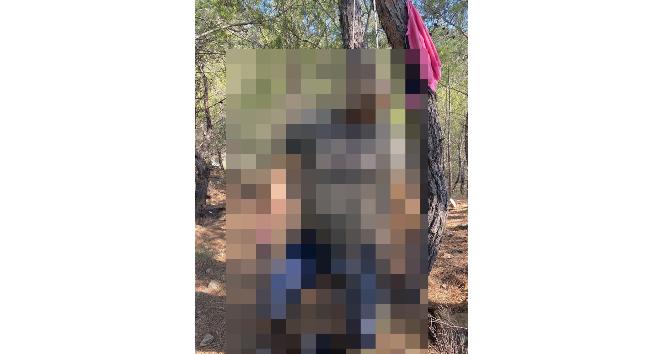 Belediye işçisi ağaçta asılı halde bulundu