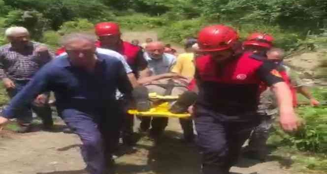 Kestiği ağacın altında mahsur kaldı