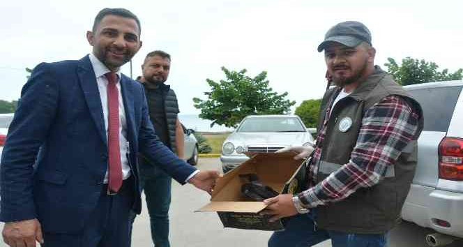 Ordu’da kargalar sürü halinde vatandaşları kovaladı