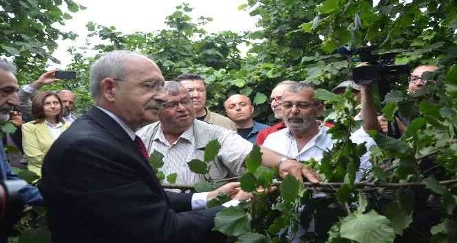 Kılıçdaroğlu: "Fındık Karadeniz Bölgesi’nin stratejik ürünüdür"