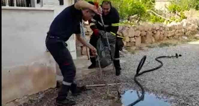 Kırıkkale’de 2 metrelik yılan paniği