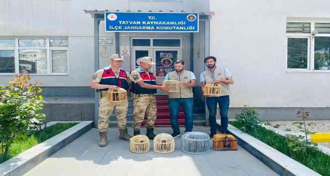 Kaçak keklik avlayan 2 kişiye 15 bin 228 TL idari para cezası