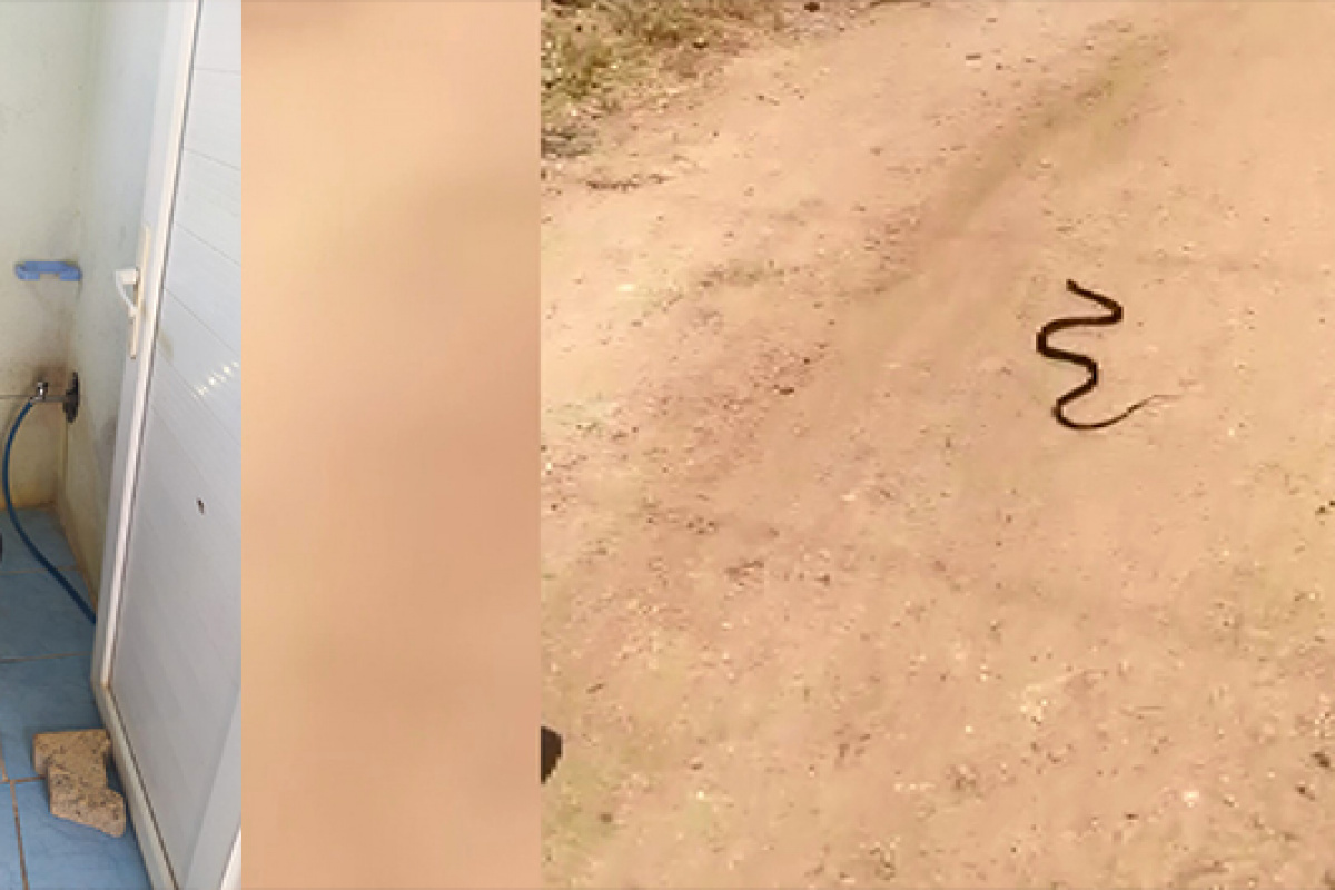 Duvardaki su borusu deliğinde yılan yakalandı