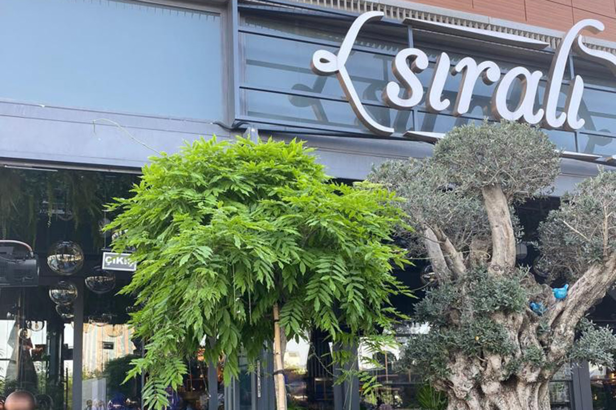 Babaanne yemekleriyle gelen dev bir marka