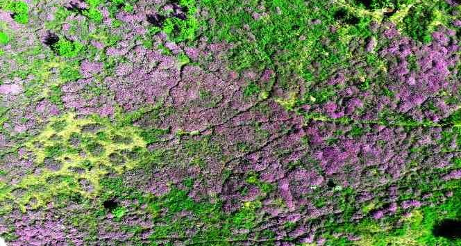 Yozgat’ta yağlıboya tablolarını andıran görüntüler