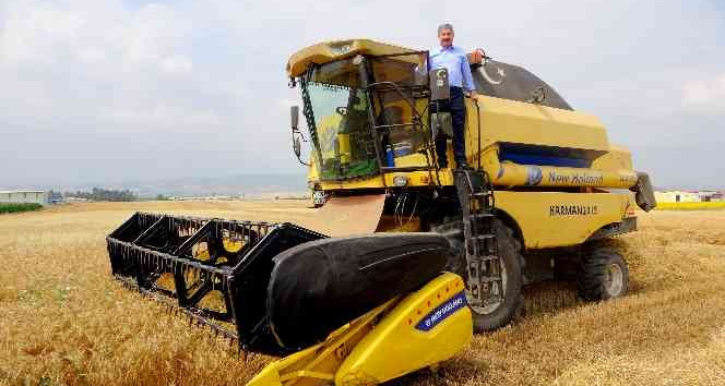 Vali kolları sıvadı, tarlaya girip biçerdöverle buğday hasadı yaptı