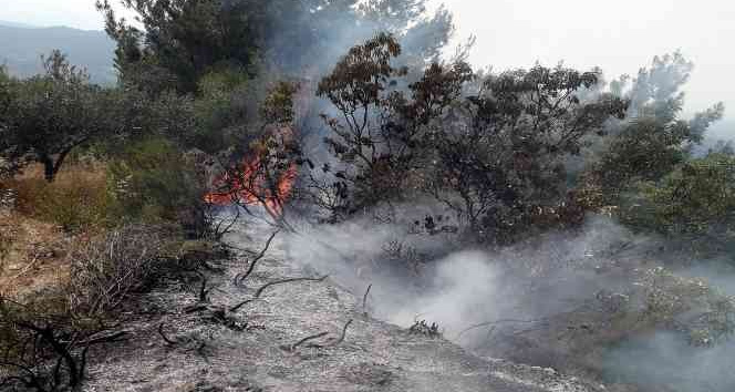Osmaniye’deki orman yangını büyümeden söndürüldü