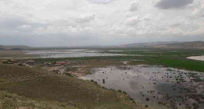 Sungurlu’da tarım arazileri sular altında kaldı