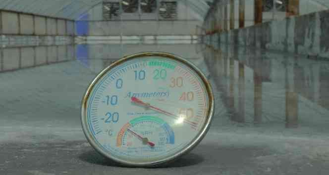 Ukrayna ‘tuz’ istiyor