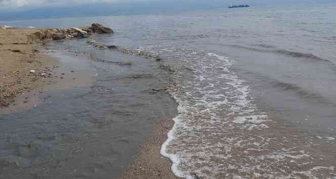 İzmit Körfezi siyaha büründü