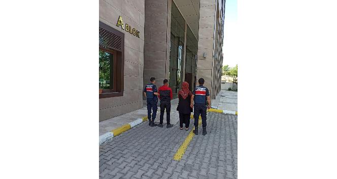 Kasten adam öldürme suçundan aranan 2 şahıs yakalandı