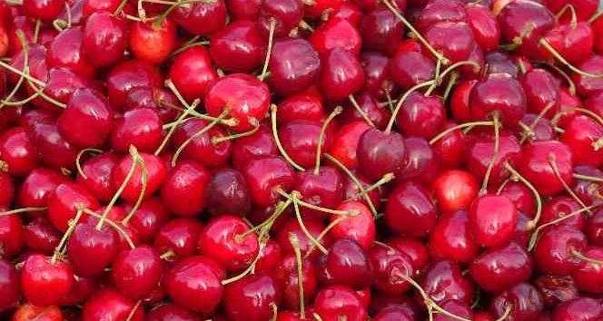 Mardin’de 16. Uluslararası Kültür Sanat ve Kiraz Festivali son buldu