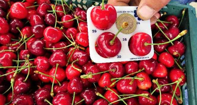 Tokat’tan Hindistan’a kiraz ihracatı