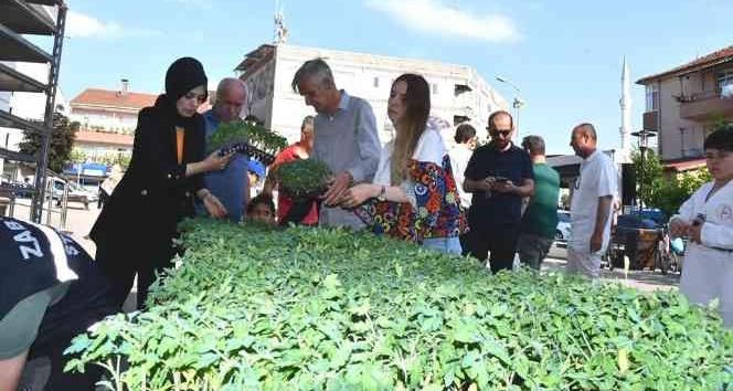 Ata tohumları, toprakla buluşuyor