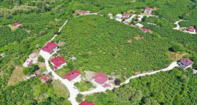 Altınordu’da 41 mahallede beton yol çalışmaları tamamlandı