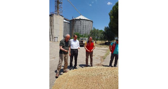 Milas TMO Hububat alımlarına başladı