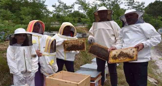 Ordu’da arıcılara polen toplama tuzağı desteği