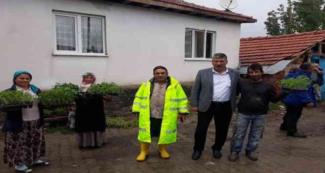 Akdağmadeni’nde doludan etkilenen köylere 10 bin adet sebze fidesi dağıtıldı