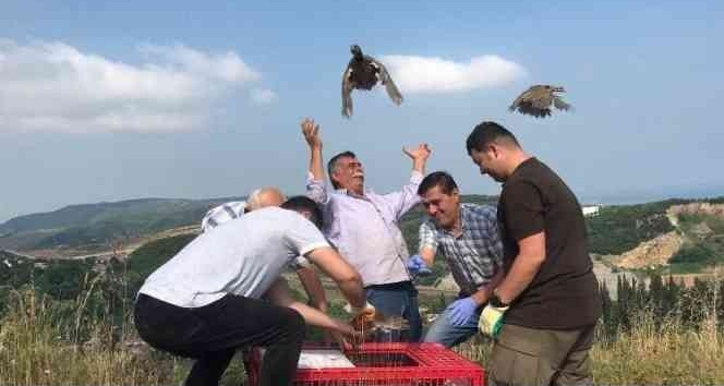 Yalova’da doğaya 850 keklik salımı yapıldı