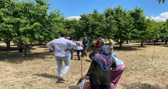 Kiraz bahçesini halka açtı