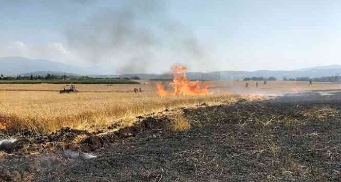 Osmaniye’de 10 dönüm buğday tarlası yandı