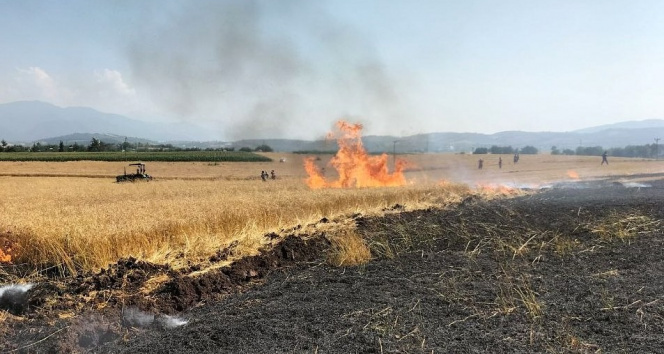 Osmaniyede 10 dönüm buğday tarlası yandı