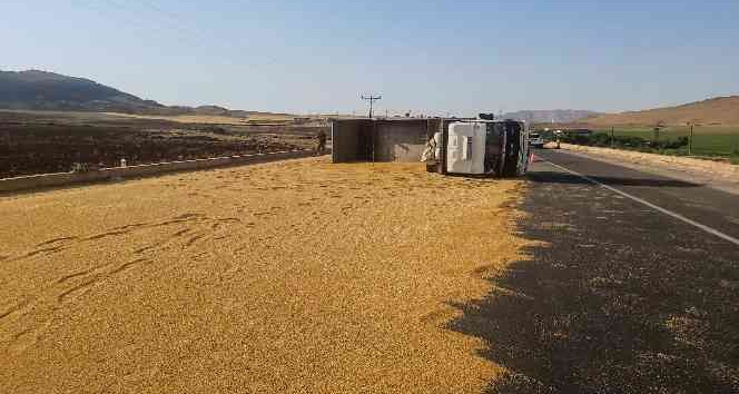 Mardin’de kamyon devrildi, tonlarca buğday yola döküldü