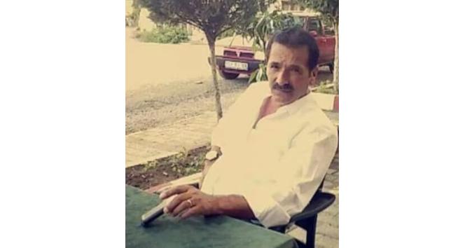 Ihlamur toplamak için çıktığı ağaçtan düşen kişi hayatını kaybetti