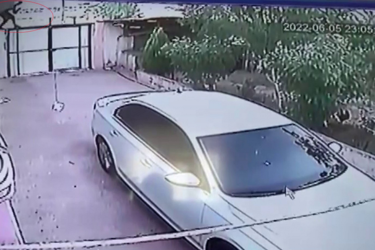 Ev ahalisi uykuda, hırsız iş başında